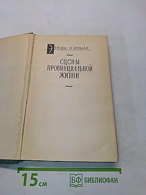 Сцены провинциальной жизни