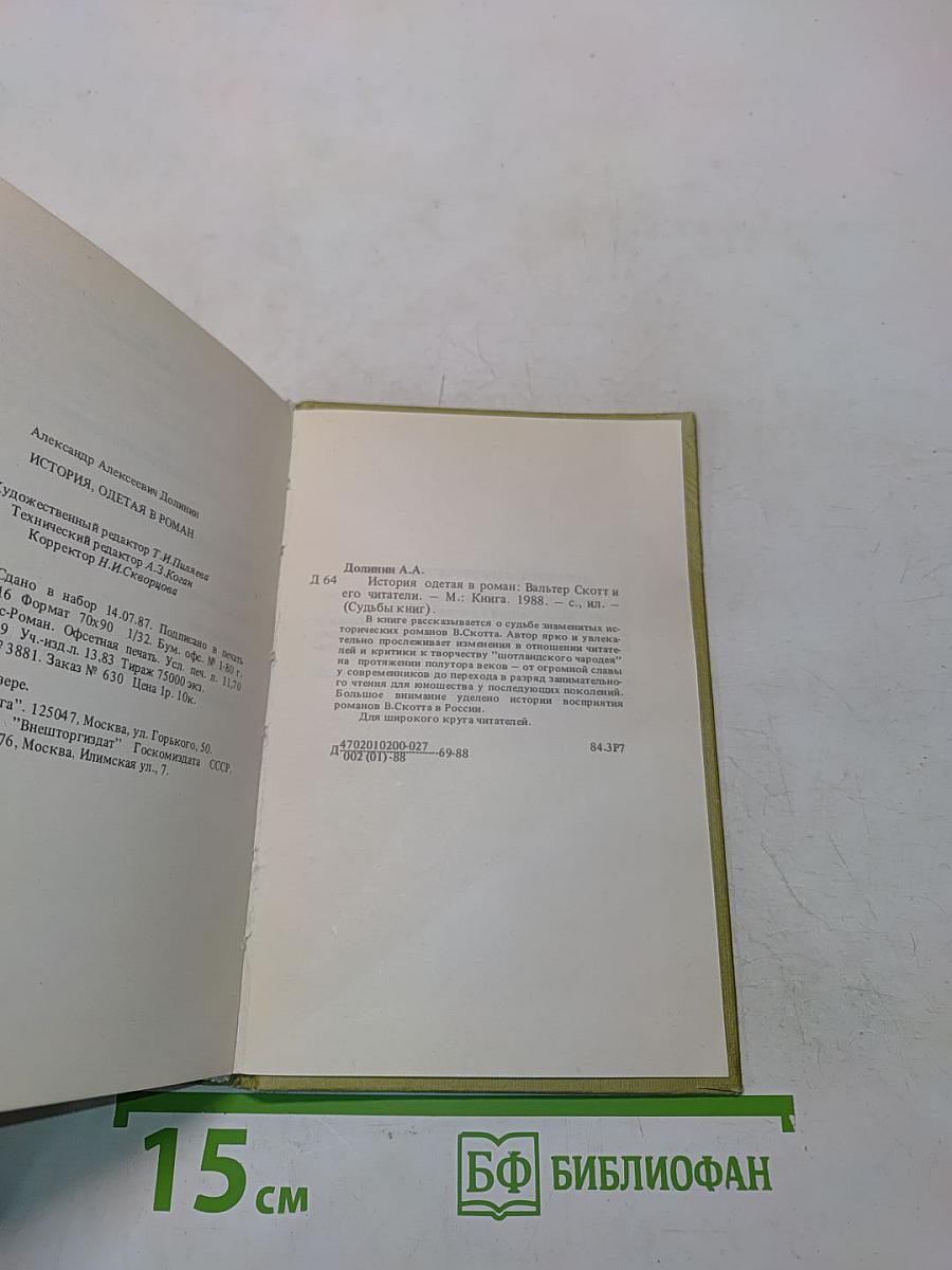 История, одетая в роман