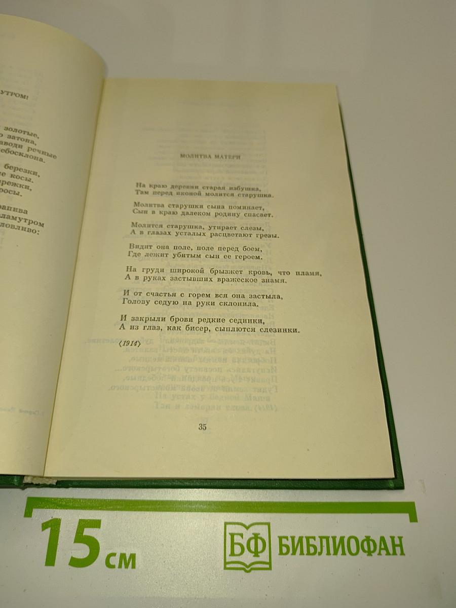 Собрание сочинений в двух томах. Том 2. Стихотворения, проза, поэмы, письма