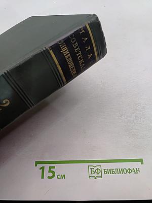 Малая Советская Энциклопедия. Том 2. Буквы — Горняк