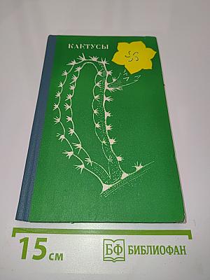 Кактусы