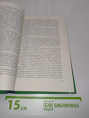 Кактусы