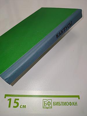 Кактусы