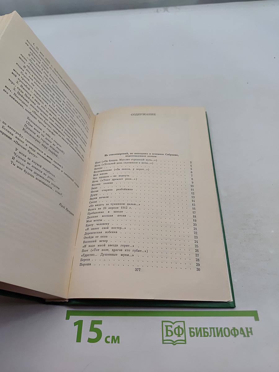 Собрание сочинений в двух томах. Том 2. Стихотворения, проза, статьи, письма