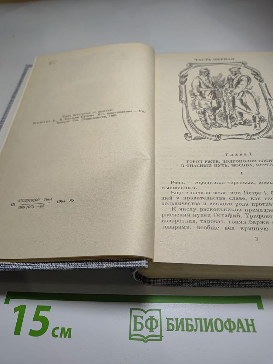 Емельян Пугачев. Историческое повествование. Книга третья