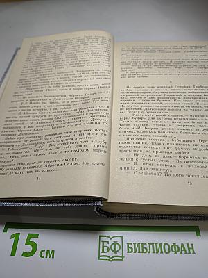 Емельян Пугачев. Историческое повествование. Книга третья