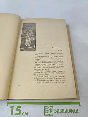 Звёзды над Самаркандом. Первая книга. Хромой Тимур