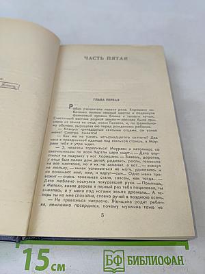 Великий Моурави. Книга третья. Время освежающего дождя