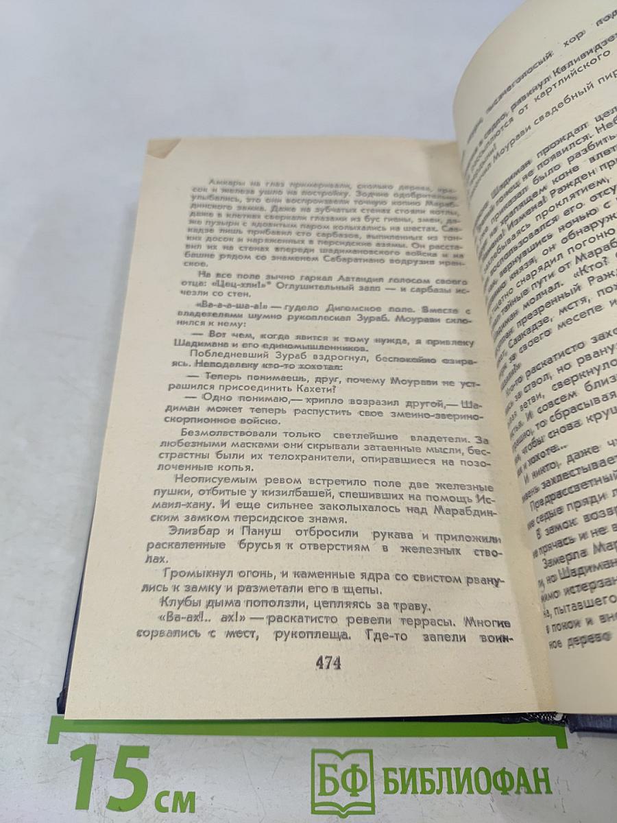 Великий Моурави. Книга третья. Время освежающего дождя