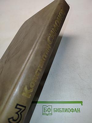 Живые и мертвые. Роман в трех книгах. Книга третья. Последнее лето