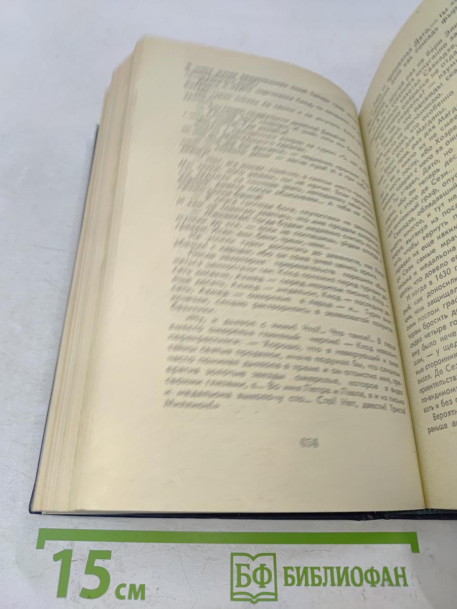 Великий Моурави. Книга шестая. Город мелодичных колокольчиков