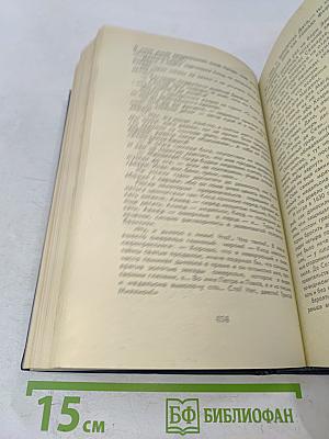 Великий Моурави. Книга шестая. Город мелодичных колокольчиков