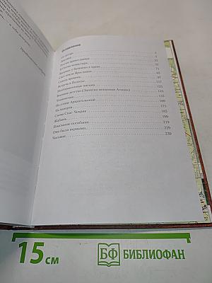 Всех скорбящих радости. Книга II. Болховские дневники