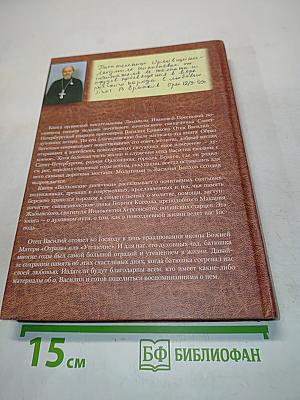 Всех скорбящих радости. Книга II. Болховские дневники