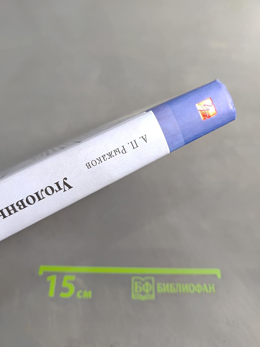 Уголовный процесс России. Курс лекций