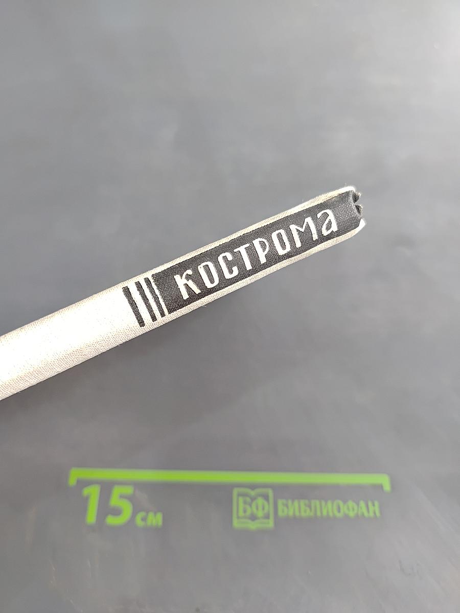 Кострома Путеводитель