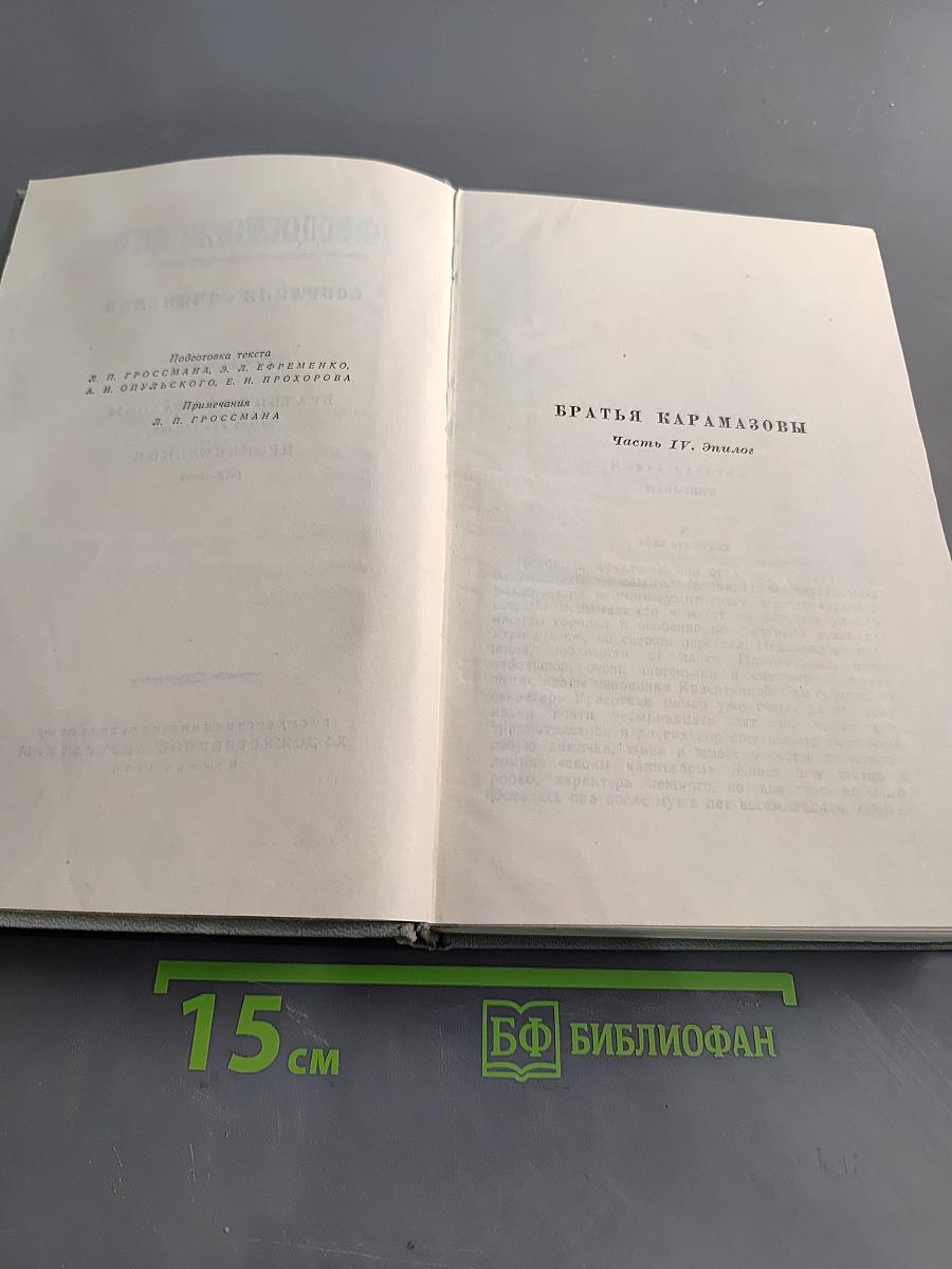 Собрание сочинений. Том десятый. Братья Карамазовы. Часть IV. Эпилог