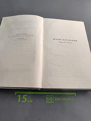 Собрание сочинений. Том десятый. Братья Карамазовы. Часть IV. Эпилог