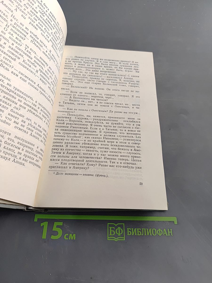 Собрание сочинений. Том десятый. Братья Карамазовы. Часть IV. Эпилог