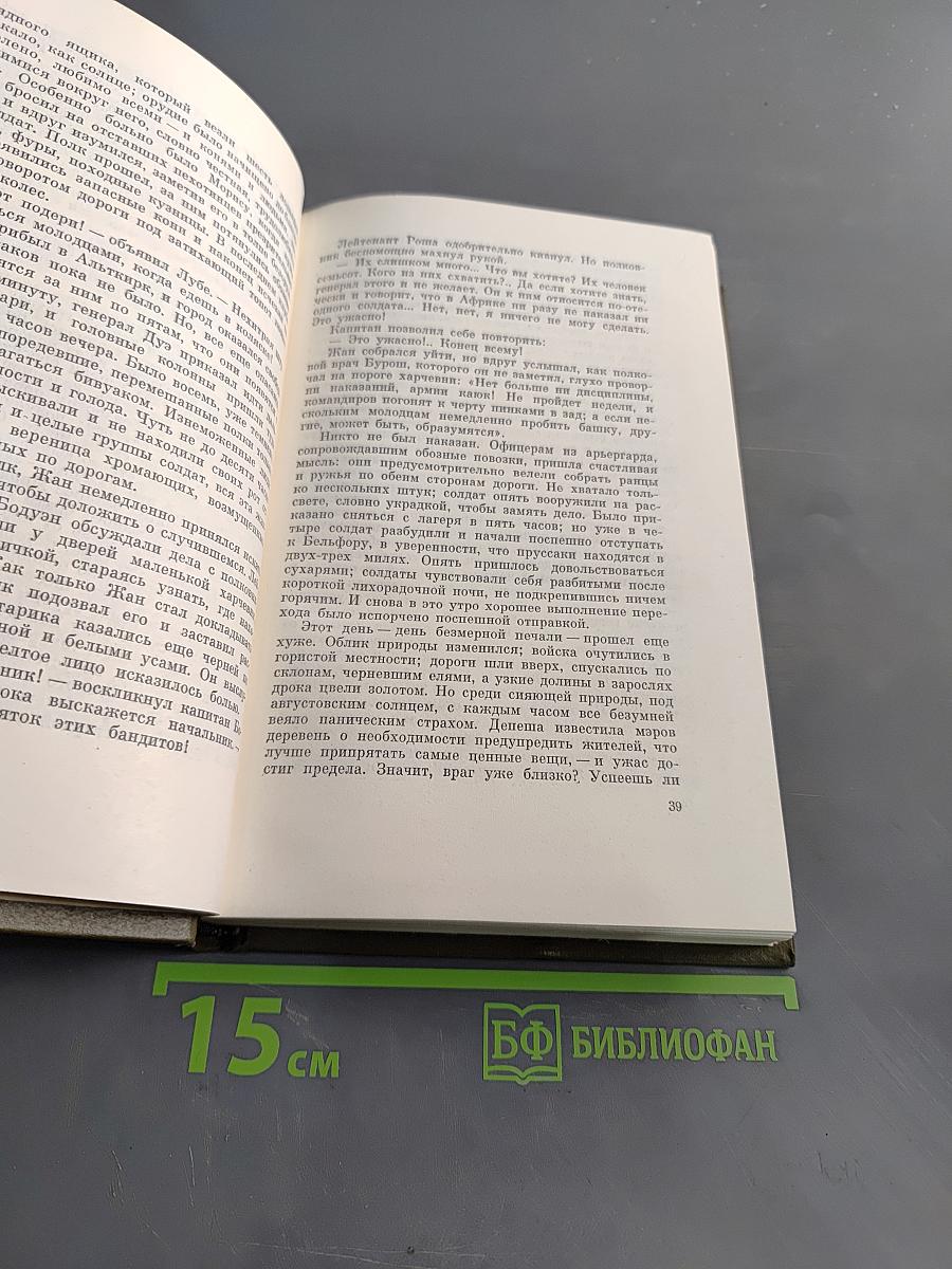 Собрание сочинений в двадцати шести томах. Том пятнадцатый. Ругон-Маккары. Разгром