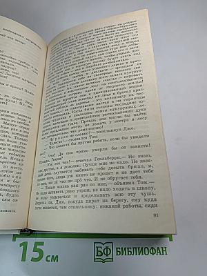 Приключения Тома Сойера и Гекльберри Финна