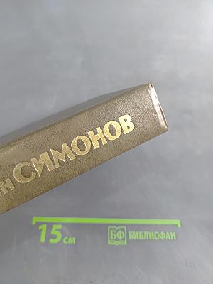 Живые и мертвые. Роман в трех книгах. Книга вторая. Солдатами не рождаются