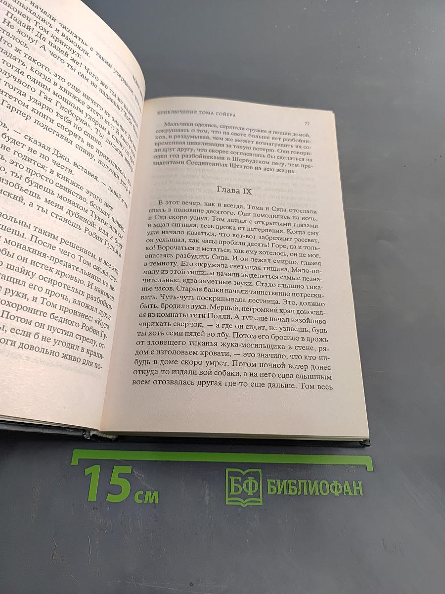 Приключения Тома Сойера и Гекльберри Финна