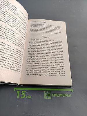 Приключения Тома Сойера и Гекльберри Финна