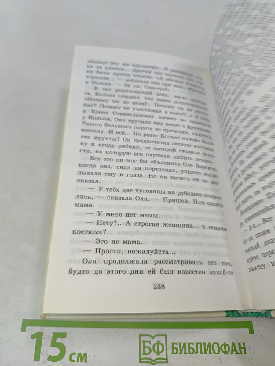 В стране вечных каникул