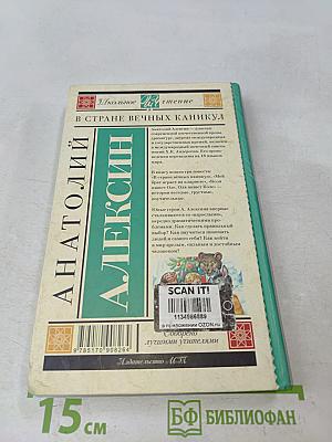 В стране вечных каникул
