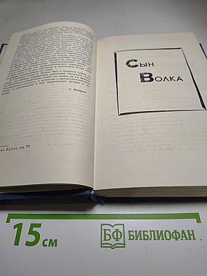 Джек Лондон. Собрание сочинений в тринадцати томах. Том I