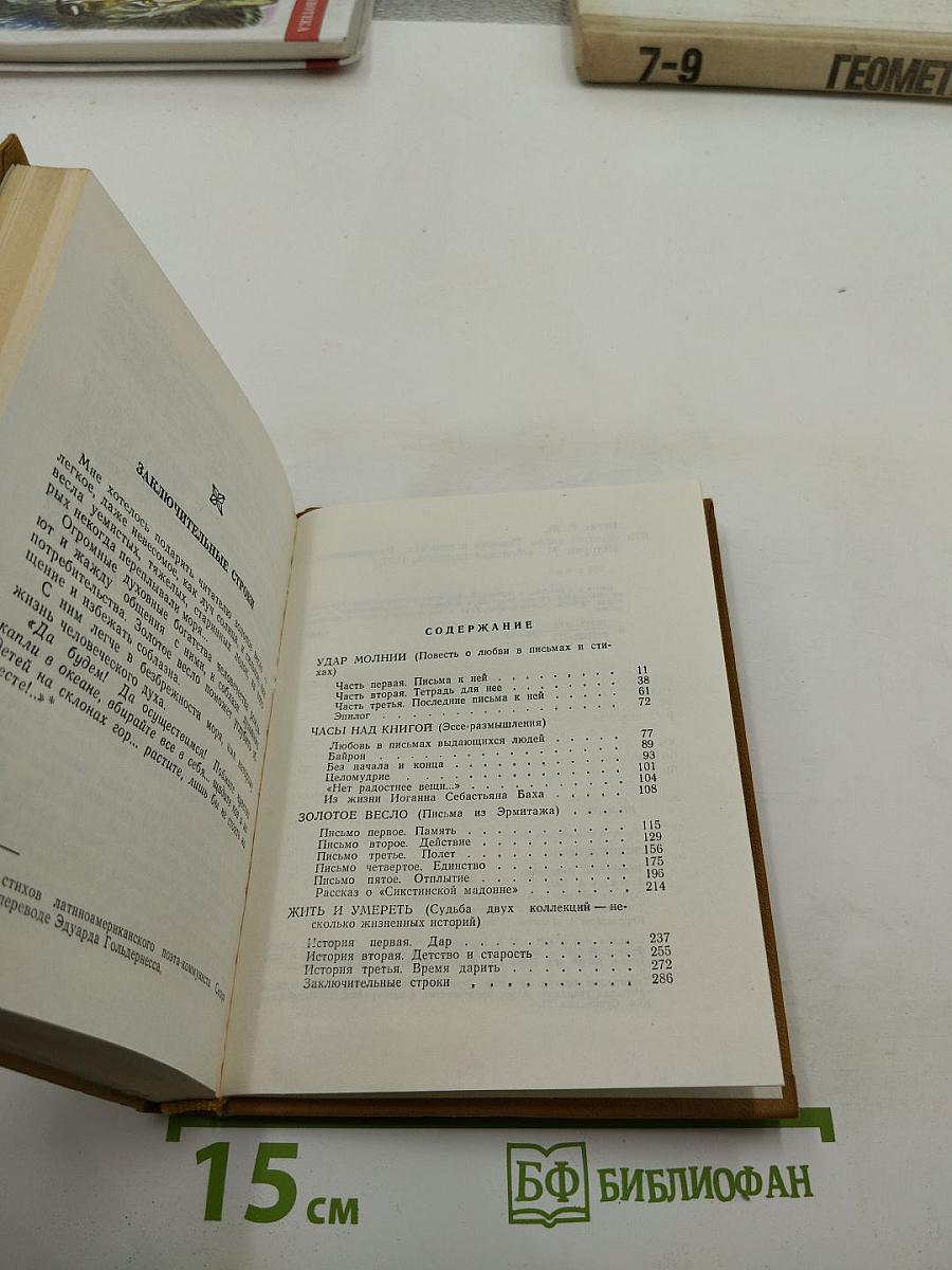 Золотое весло. Повесть в письмах. Размышления истории
