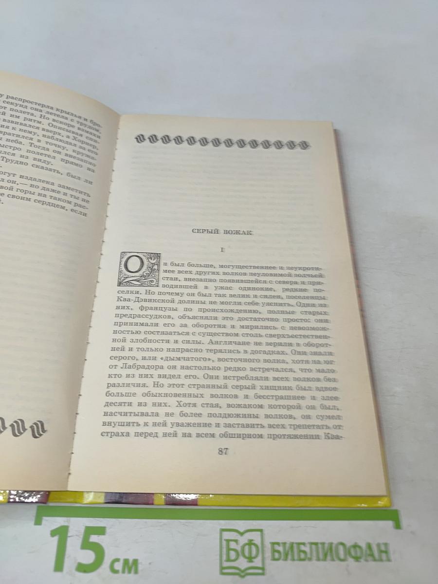 Лесной бродяга