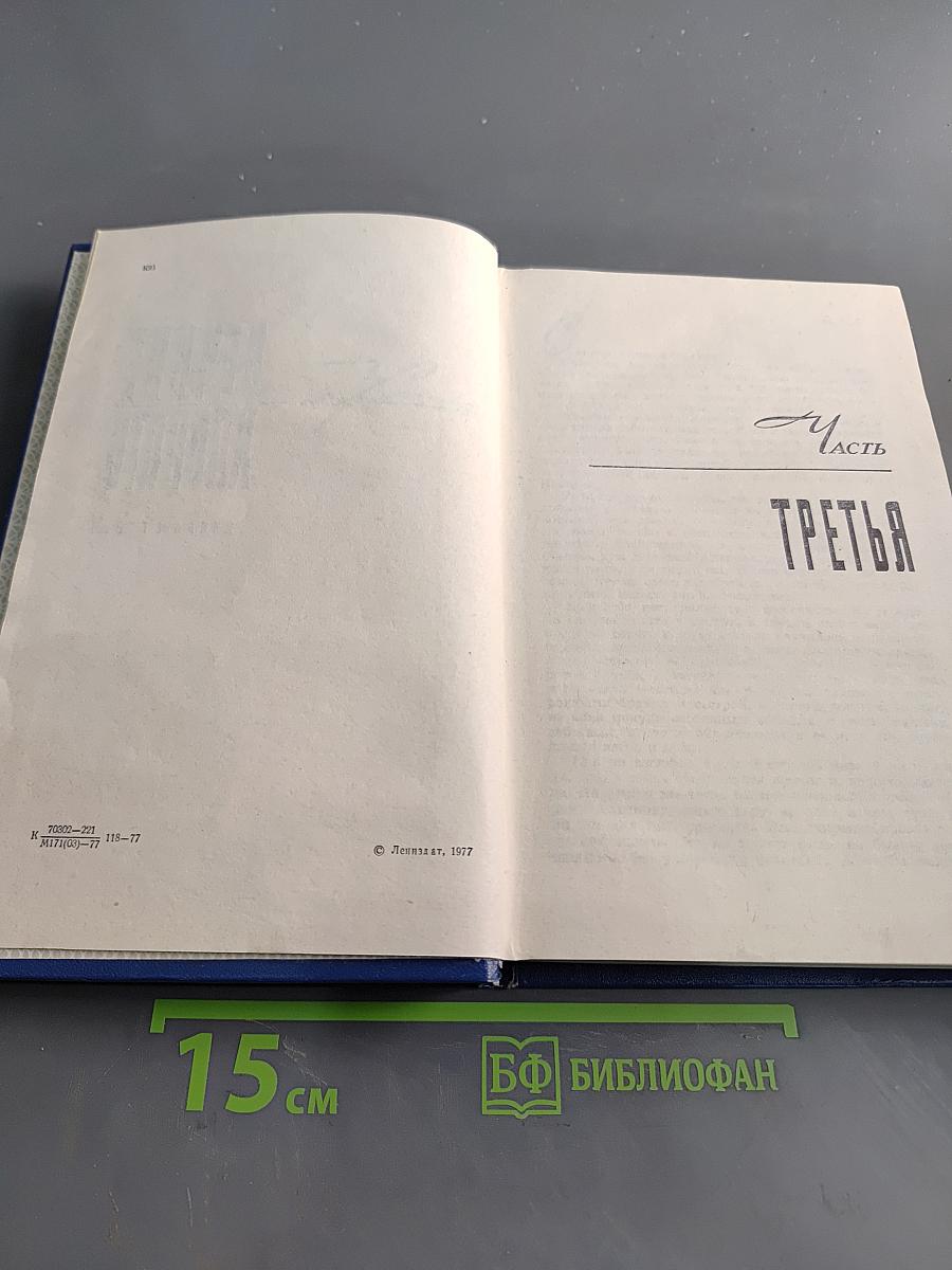 Вечные хлопоты. Книга вторая