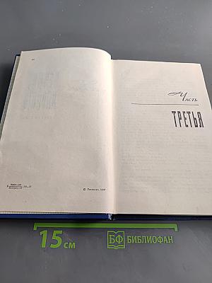 Вечные хлопоты. Книга вторая