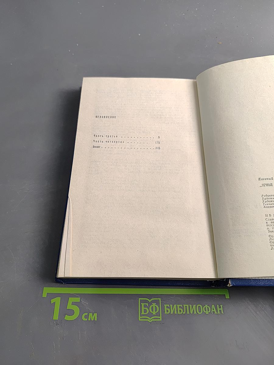 Вечные хлопоты. Книга вторая