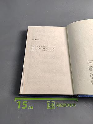 Вечные хлопоты. Книга вторая