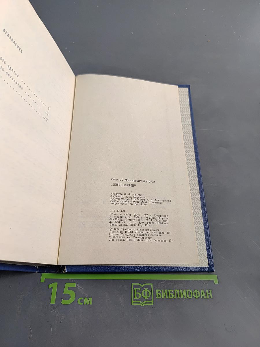 Вечные хлопоты. Книга вторая