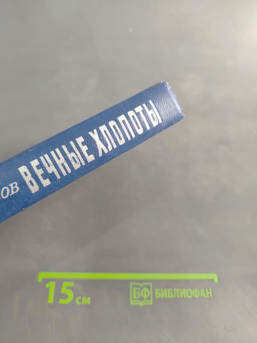 Вечные хлопоты. Книга вторая