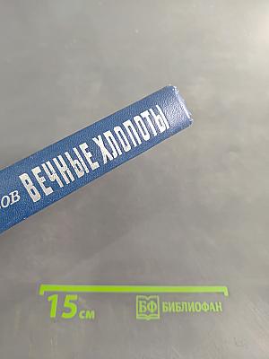 Вечные хлопоты. Книга вторая