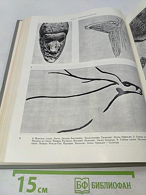 История искусства зарубежных стран. Первобытное общество, древний восток, античность