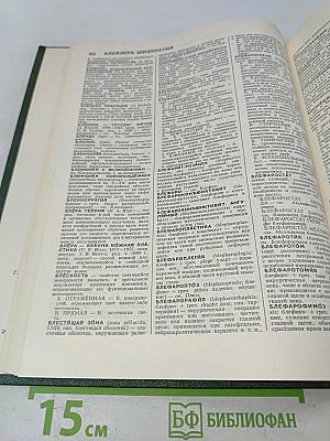 Энциклопедический словарь медицинских терминов. Том I. А-Йореса способ