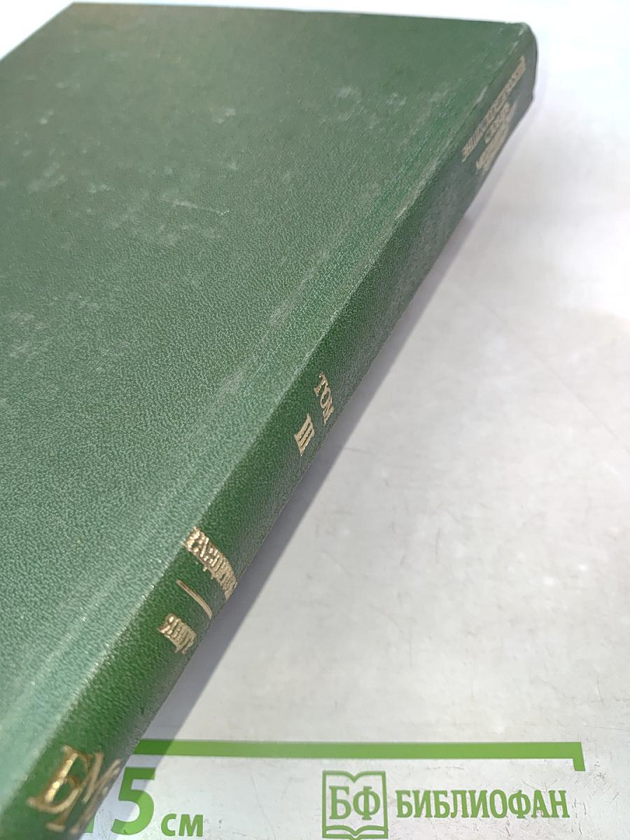 Энциклопедический словарь медицинских терминов. Том III. Рабдитозы—ящур