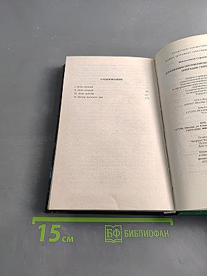 Штрафники против гитлеровского спецназа. Операция «Черный туман»