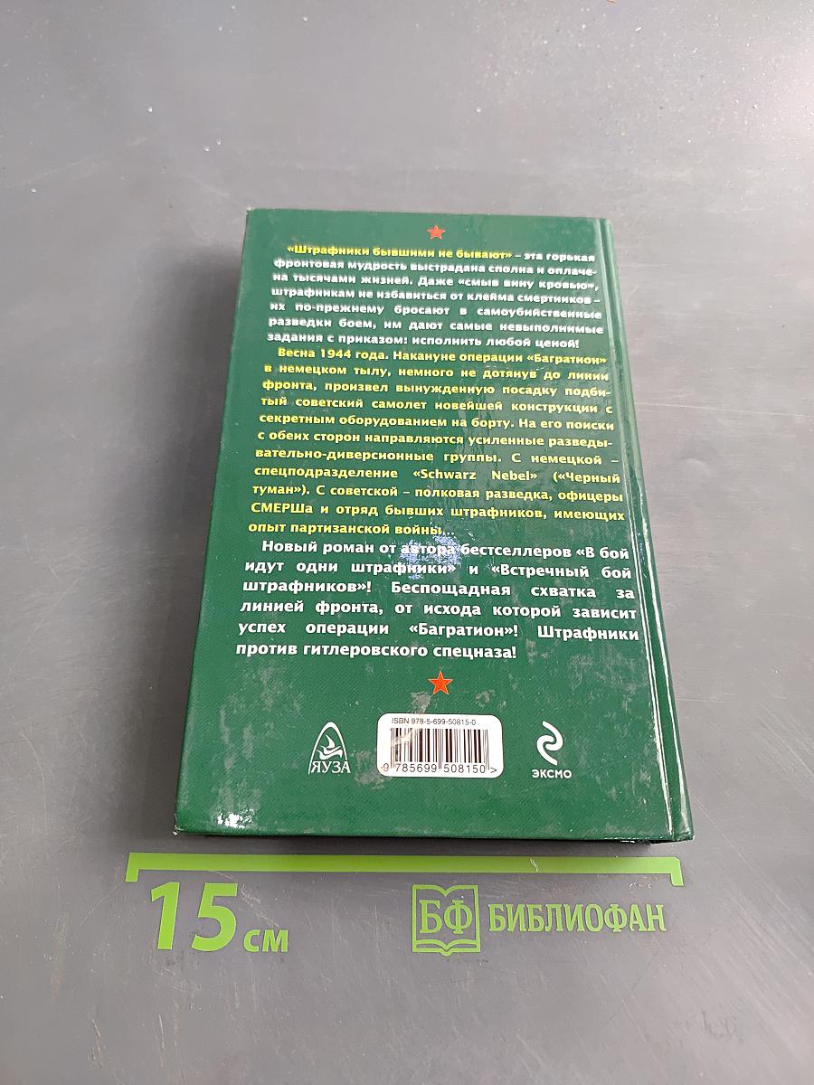 Штрафники против гитлеровского спецназа. Операция «Черный туман»