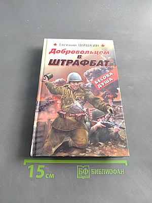 Добровольцем в штрафбат