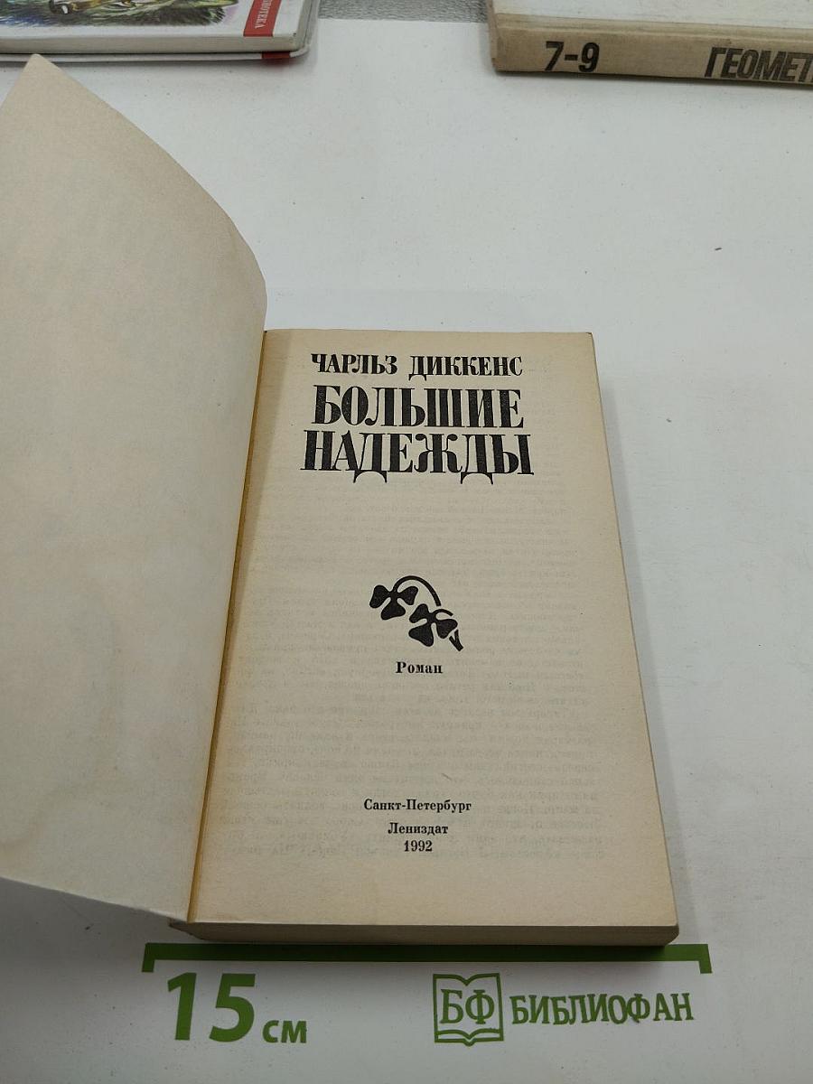 Большие надежды