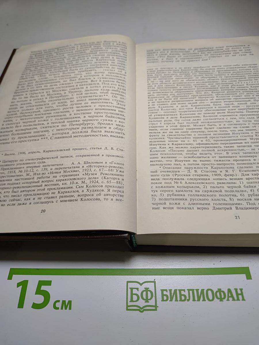 Алексеевский РАВЕЛИН. Книга II
