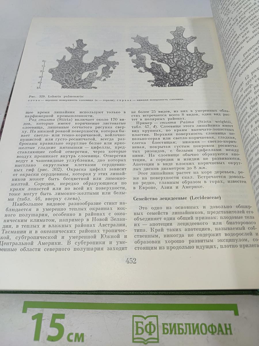 Жизнь растений. Том 3. Водоросли, лишайники
