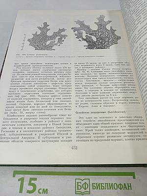 Жизнь растений. Том 3. Водоросли, лишайники